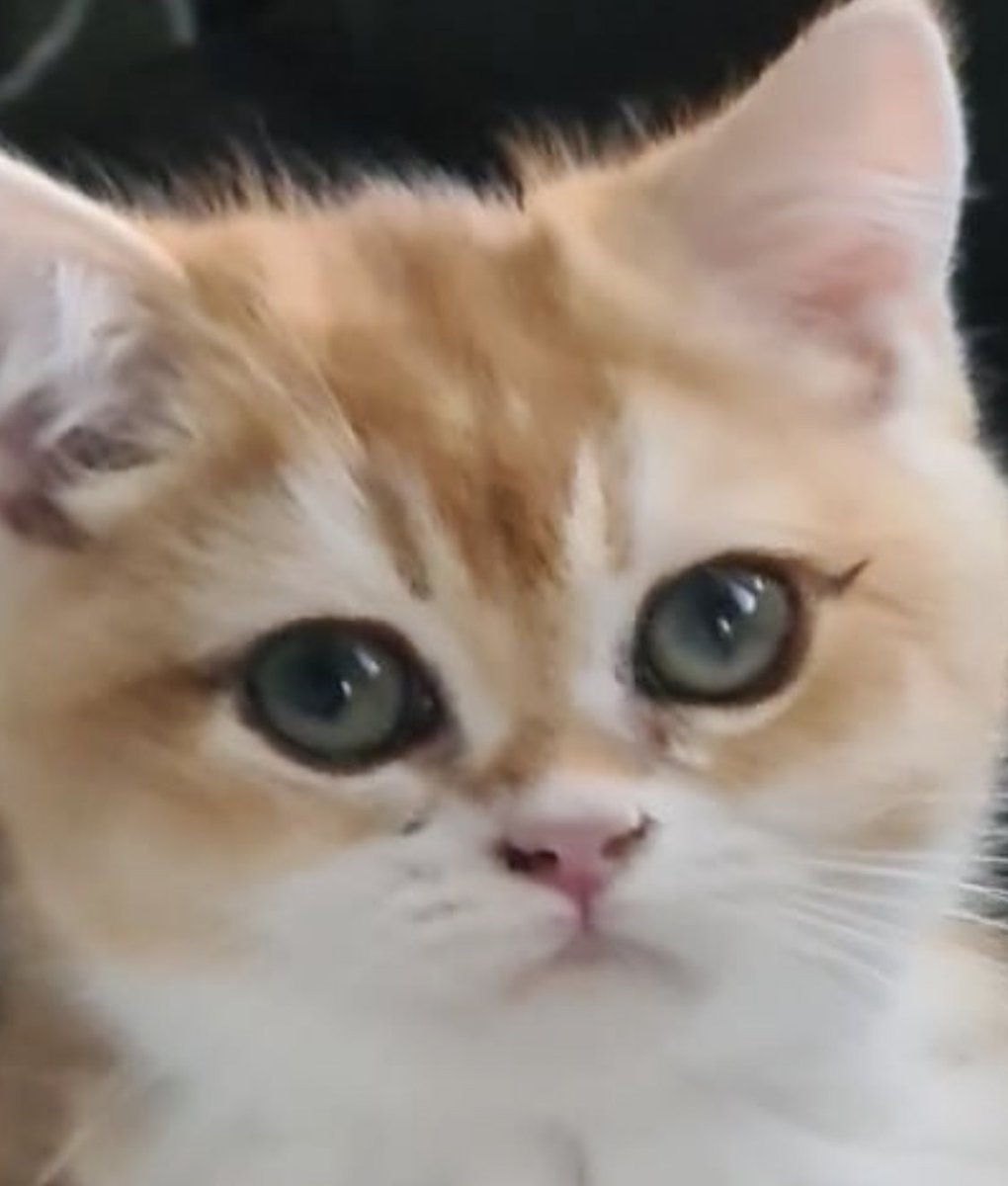 look at his PERFECT eyeliner!! the beauty community could never