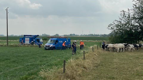 enedis_hdf's tweet image. Des 👨‍🔧 @enedis de #Tourcoing sont intervenus avec précaution sur  les champs de 🌾 d’un #agriculteur pr sécuriser le réseau ⚡️&amp;amp; l’accès aux champs 🚜 du cultivateur. 800 m de câbles ⚡️20000 V, 4 poteaux déposés &amp;amp; des clients tjs alimentés 🔌 #securite #territoire #ServicePublic
