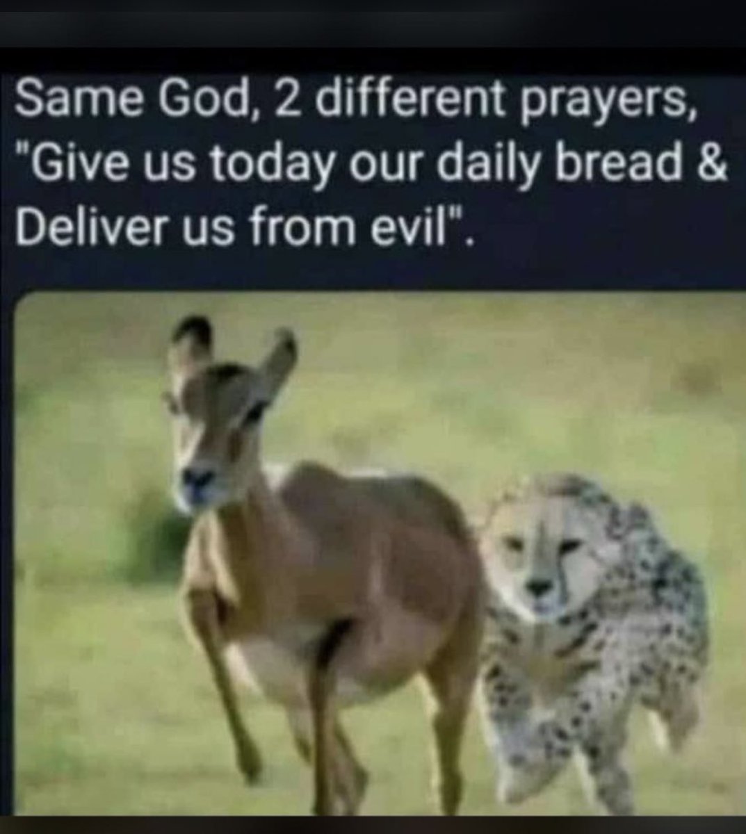 dodevaan's tweet image. Deep🙇🏼
May we not be cut short in answer to other people’s prayer points🙇🏼