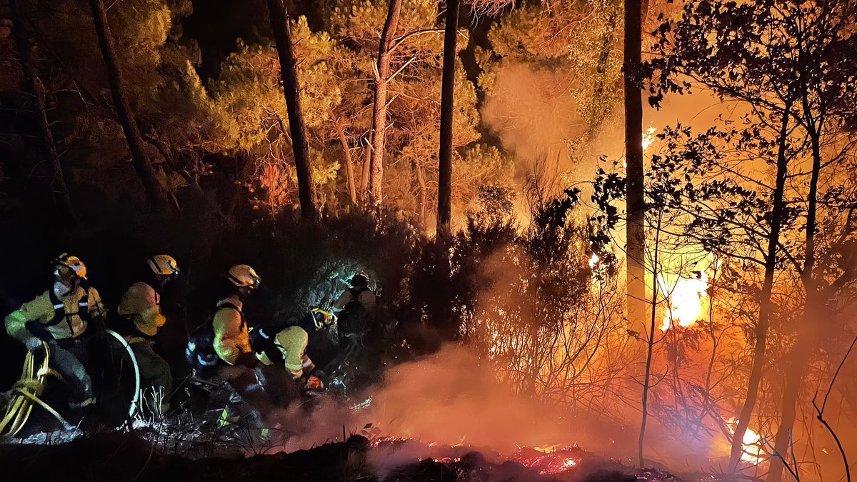 fempcomunica's tweet photo. #AcciónLocal frente al #Fuego🔥: Manual de Instrucciones

🗨️#CartaLocal analiza junto a los Alcaldes de #Ateca y @pueblomuseo y la Alcaldesa de #FolgosoDoCourel cómo enfrentar los #Incendios🚒 y devolver la vida a los territorios.

📰: https://t.co/vTvldsunsq https://t.co/kMoVWOIhRG