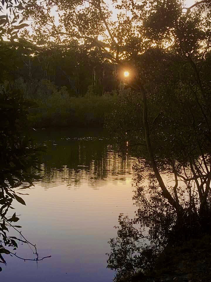 An old pic touched up of Coffs Creek as the sun started its run #coffscoast