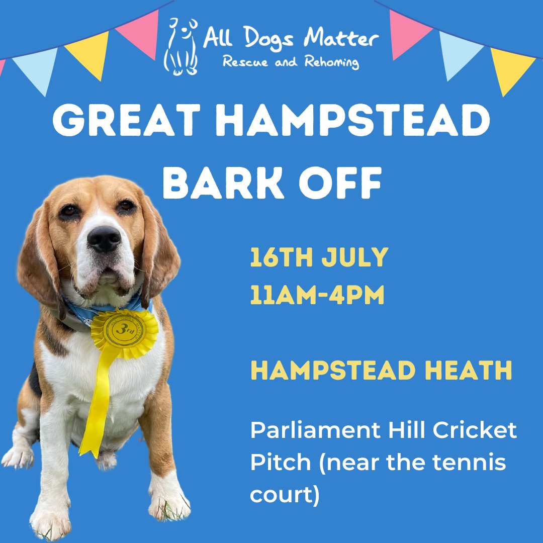 marcthevet's tweet image. FUN DOG SHOW: Join me &amp;amp; my fellow judges @PeterEgan6, @Gailporter &amp;amp; @missmcollins on Sun 16 July for one of the doggy highlights of the year. And all to raise funds for amazing rescue &amp;amp; rehoming charity @AllDogsMatter! More info &amp;amp; pre-register: alldogsmatter.co.uk/the-great-hamp… #BarkOff