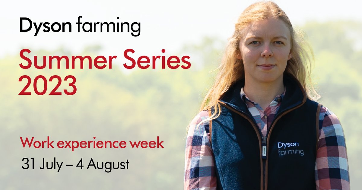 LAS Education tweet media