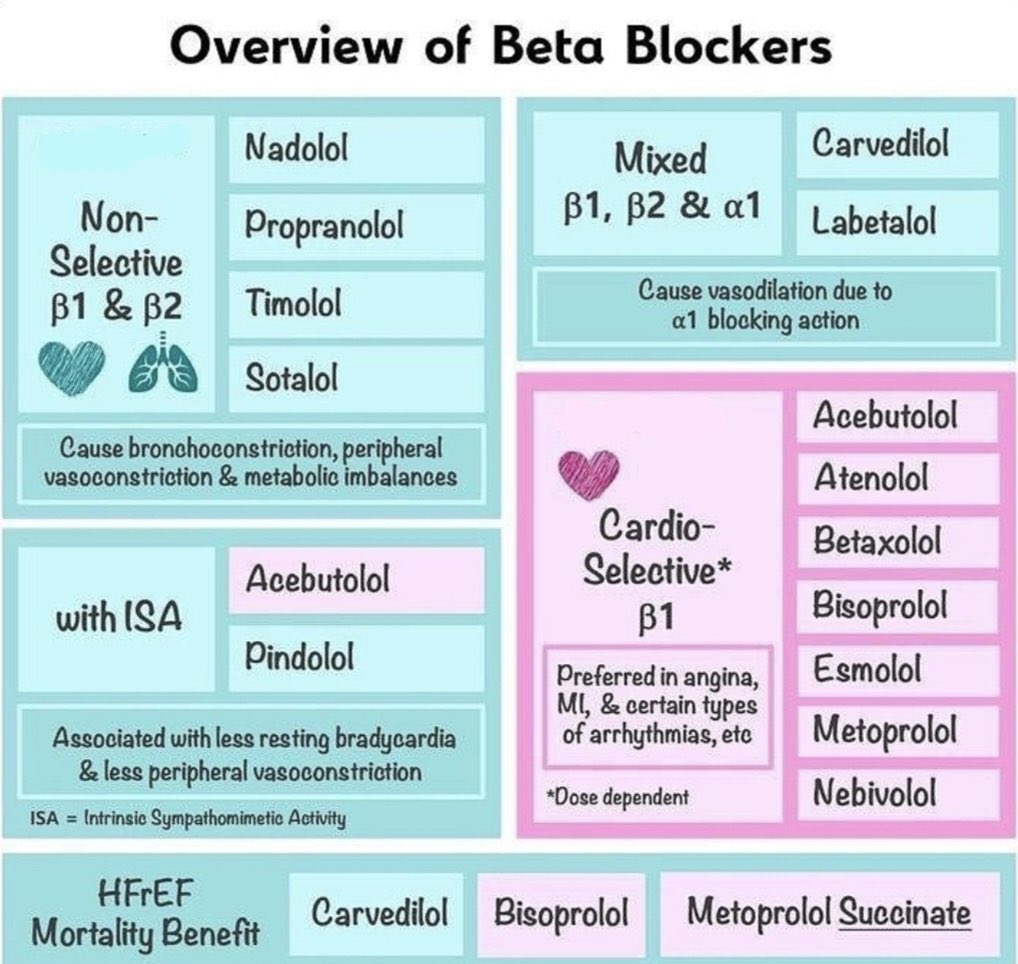 On Twitter How To Memorize Beta Blockers 1 Beta on-twitter-how-to-memorize-beta-blockers-1-beta