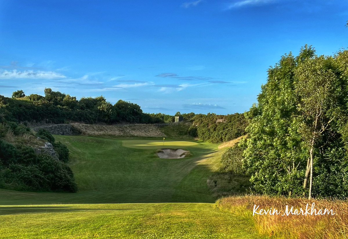 Kevin Markham tweet media