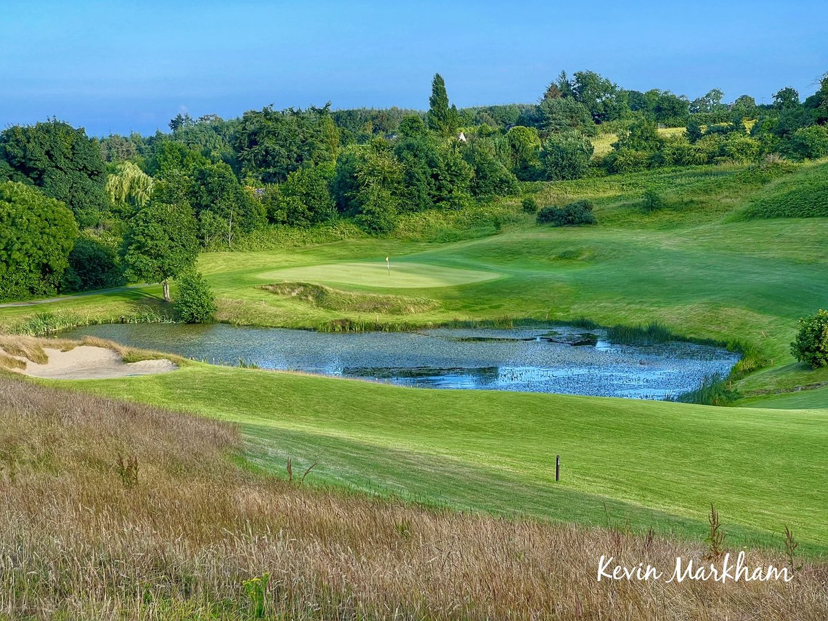 Kevin Markham tweet media