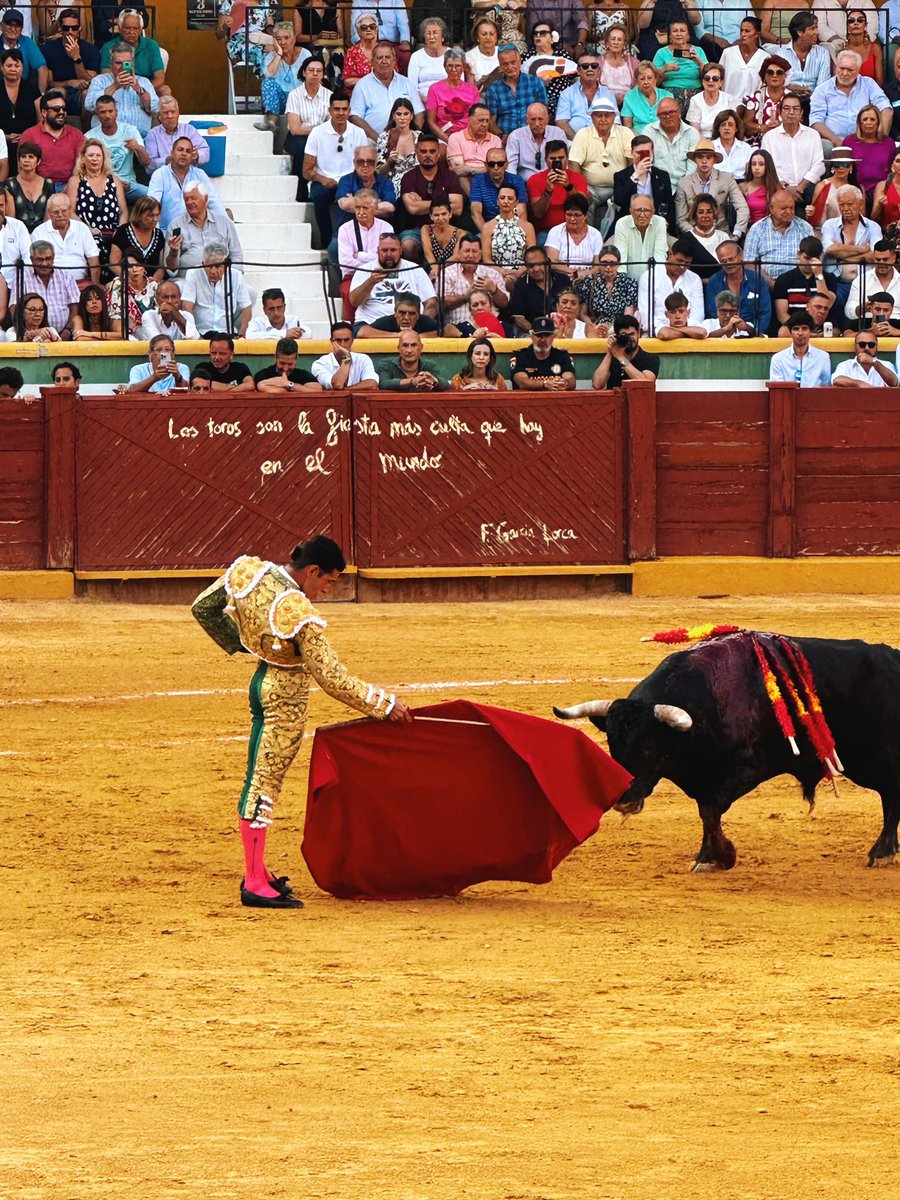 “Los toros son la fiesta más culta que hay en el mundo”.  

Federico García Lorca