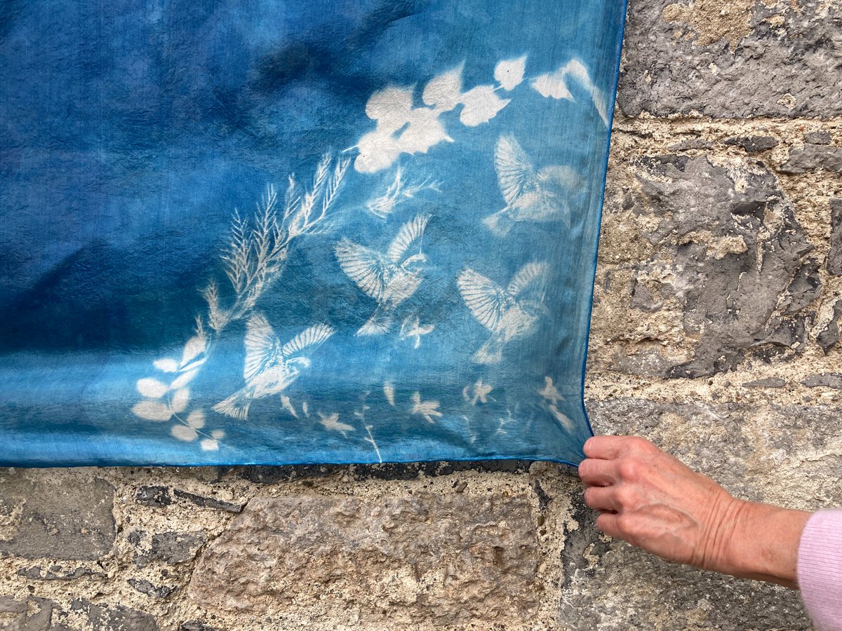 I'm looking forward to returning to do this cyanotype on silk workshop @butlergallery on July 29th. We will be working with paper and fabric to explore this historic photographic process. Details here on how to book butlergallery.ie/whats-on/cyano… #cyanotype