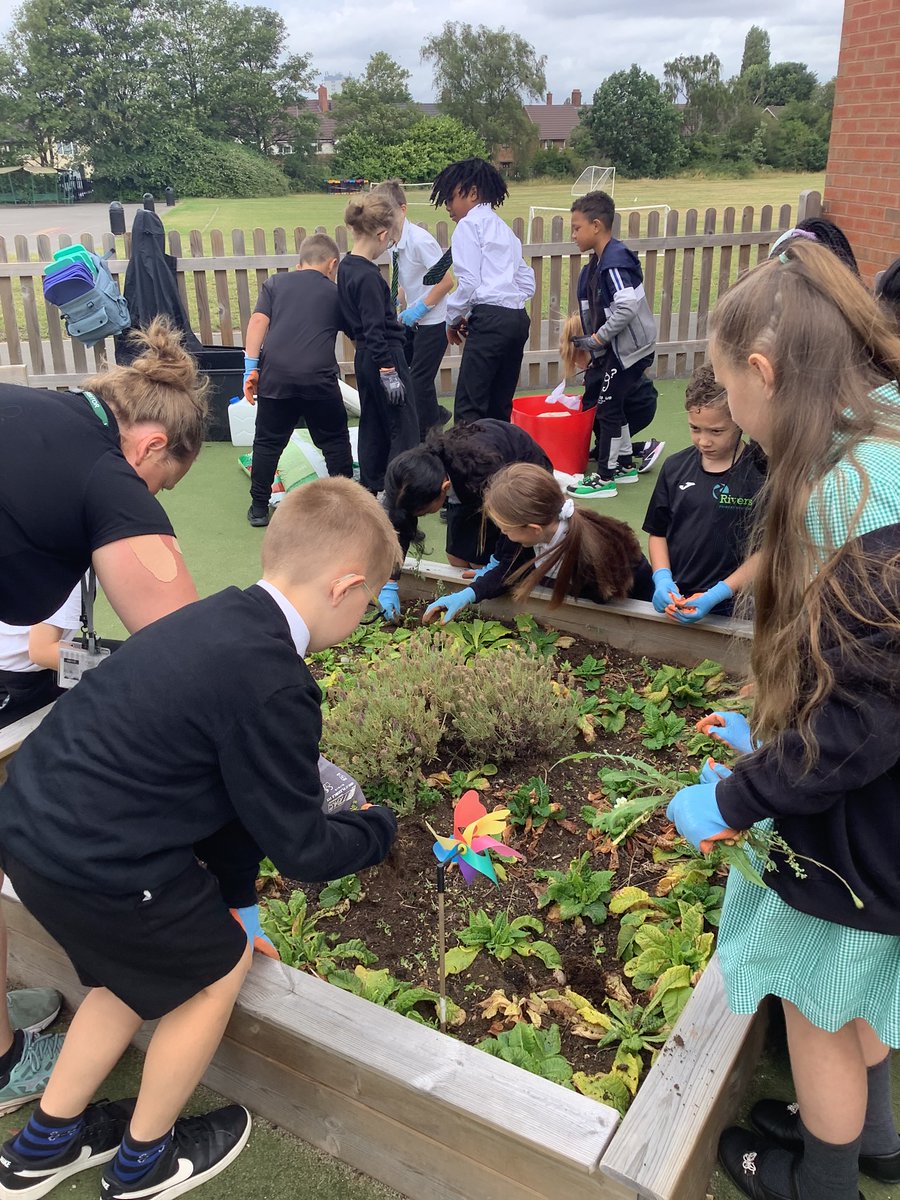 RiversPrimary's tweet photo. Our Eco warriors are busy planting herb plants in our early years area. #LearningthroughLandscapes #Sustainability @Ltl_News https://t.co/D8RsQchAhv