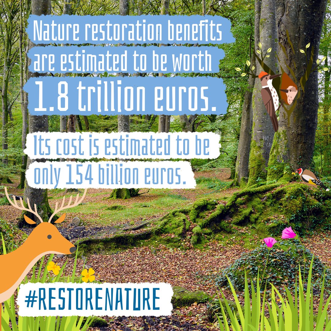 Healthy nature is indispensable for our economy. From flood protection to crop pollination & carbon sequestration, we can't live without the essential services that nature provides. #RestoreNature can only be positive for our economy!