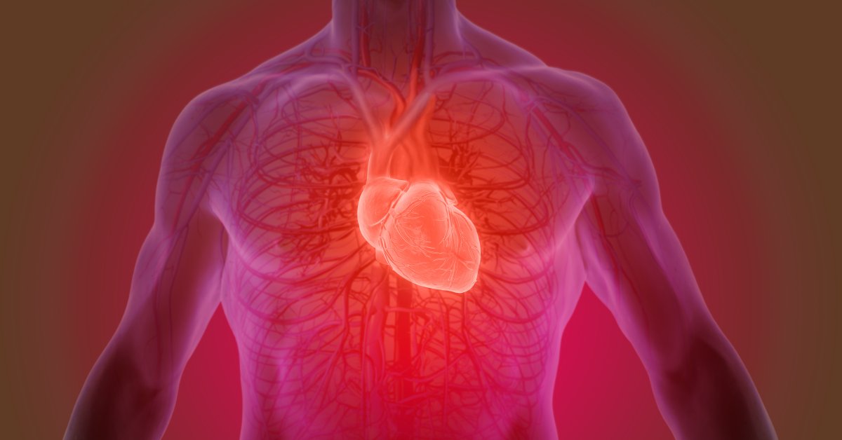 WebMD's tweet image. Could lifting weights mean less heavy lifting for your heart? One study says weight training for an hour a week can cut your chances of having a heart attack or stroke by up to 70%. wb.md/3O4wuIQ