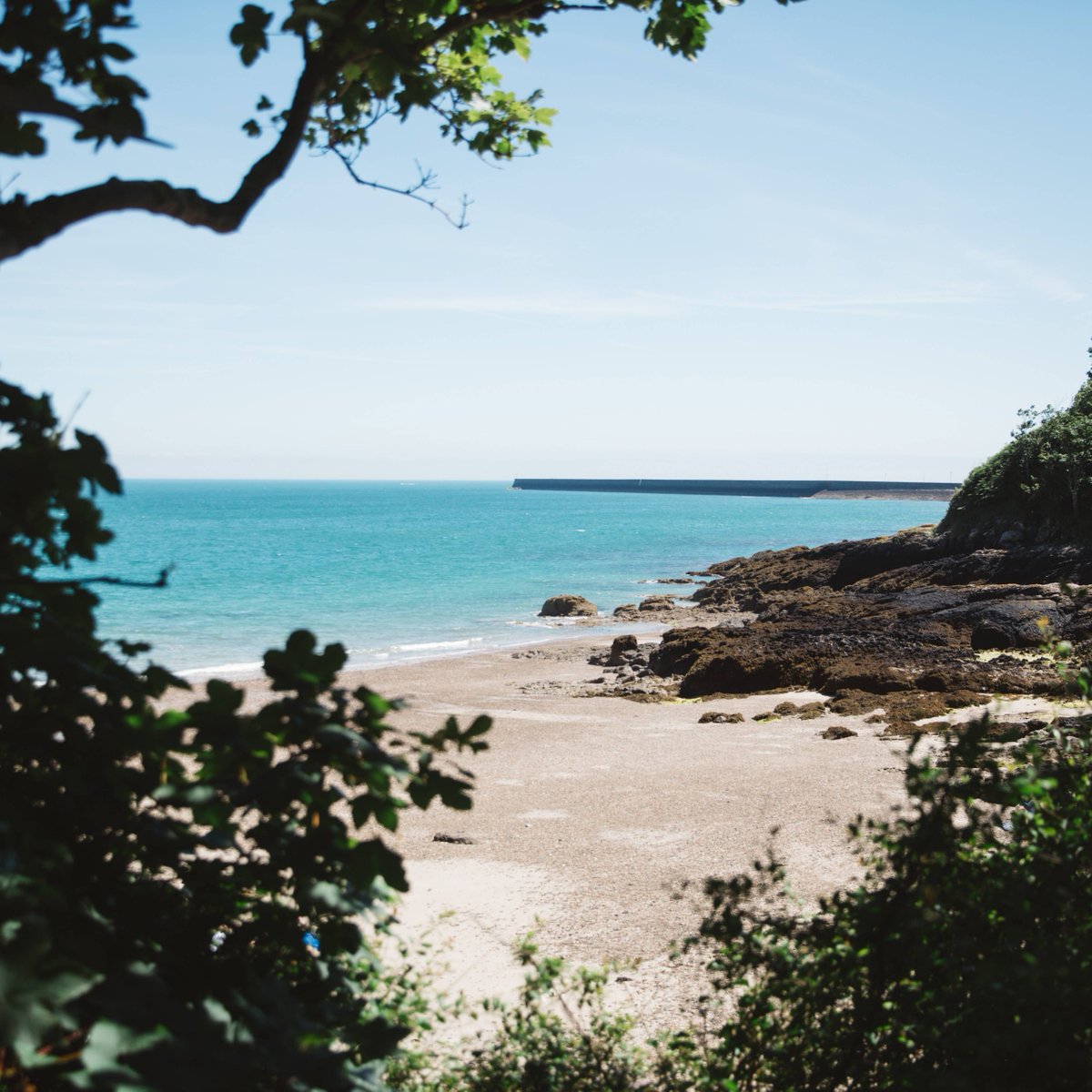 Not only does Jersey have gorgeous seas but the seaweed is also used as a natural fertiliser for #JerseyRoyals. Many of the farmers are fourth or fifth generation and still employ some of the most traditional methods of farming like using beach-gathered seaweed, known as Vraic.