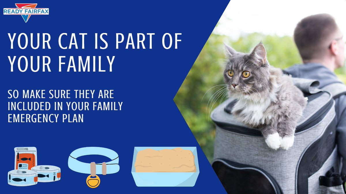 ReadyFairfax's tweet photo. Today is #NationalKittenDay making it the purrfect day to ensure your furry family member is included in your family emergency plan and that your emergency kit has supplies to support their needs! https://t.co/7JHFJ4AwCf