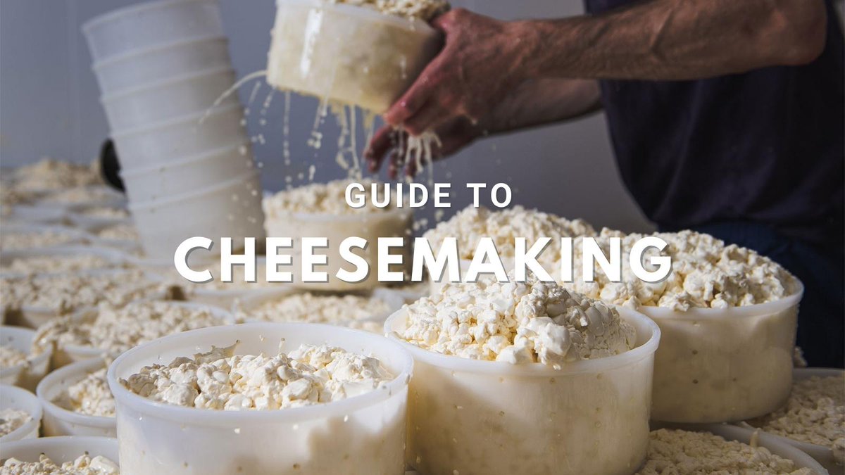 cheese_academy's tweet photo. Do you know which magic ingredient turns milk, starter cultures, rennet & salt into cheese? You will when you read our FREE Guide to Cheesemaking here: https://t.co/cLfVZpHCzP
#cheesemakingguide #cheesemaking #cheesemaker #makingcheese #artisancheesemaking #cheesemakingprocess https://t.co/LFA4Pnje1m