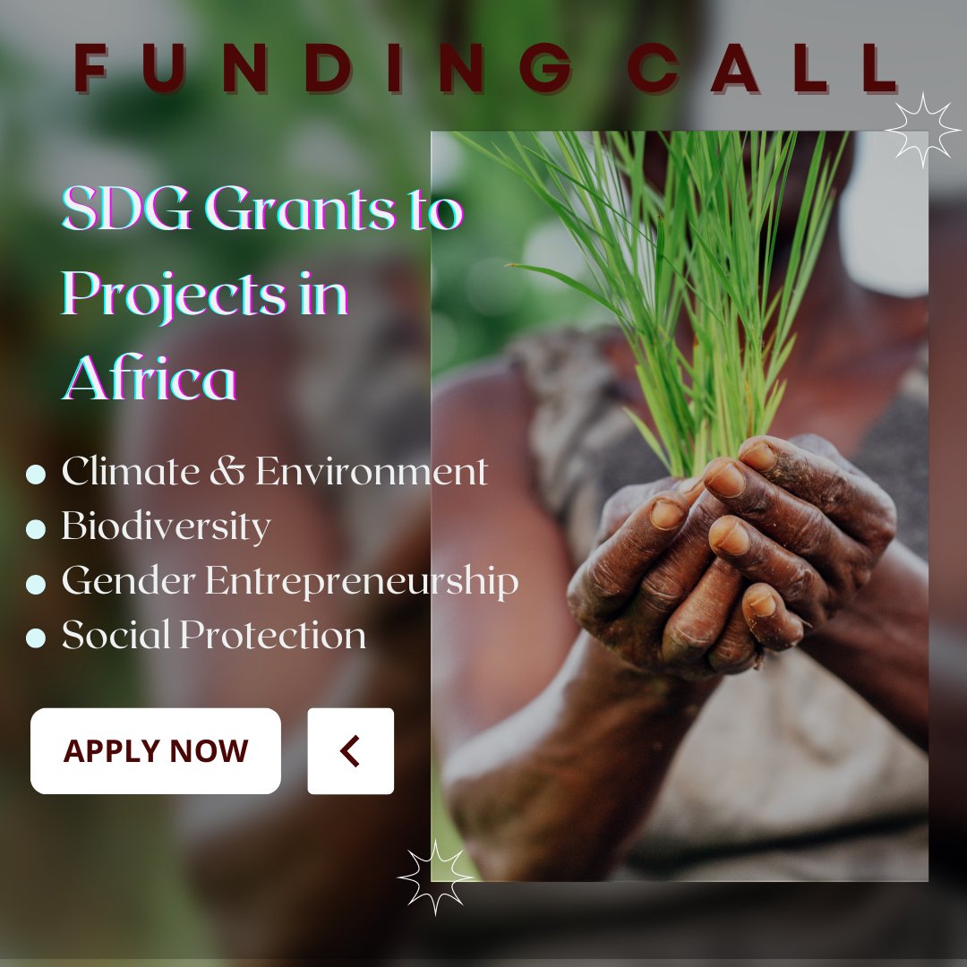 ‼Call for Projects‼

This call is open to projects in different sectors, but the project must focus on at least one of these three themes:

👉Climate, environment and biodiversity
👉Gender and female entrepreneurship
👉Decent work and social protection

The BPF provides a