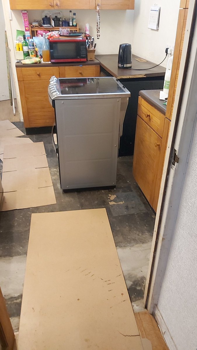 ADRIAN EVANS tweet media