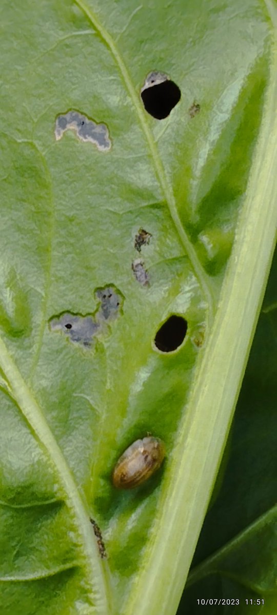 ITB Aisne tweet media