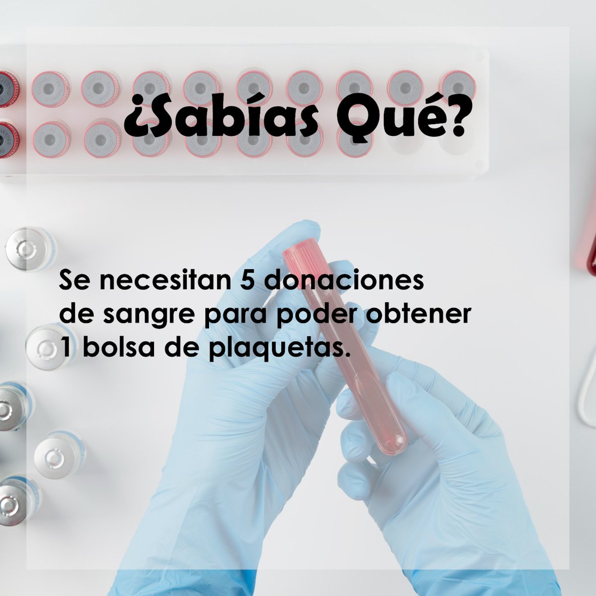 donantesavila's tweet photo. Necesitamos tu ayuda 🩸

#HazteDonante #ReservasBajas #hermandaddedonantesdesangredeavila #donarsangre https://t.co/PQxuBmJTBF