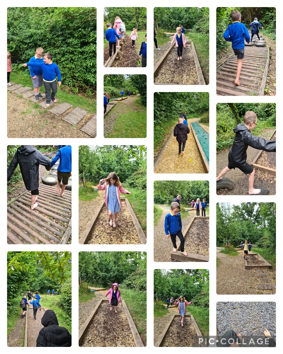 Woah! We loved getting stuck in on the barefoot 👣 trail! <a href="/Blackwood_PS/">Blackwood Primary</a> @wild_place