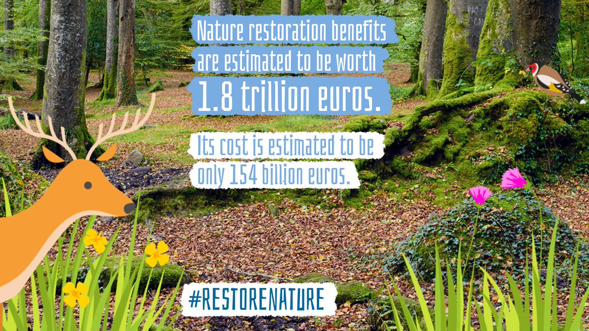One of the best investments possible: nature. Europe's nature restoration law will be good for the whole planet. Don't let it be derailed, oh people of the north! #RestoreNature #generationrestoration #onlyadecade @UNEP @Restor_eco @trilliontrees