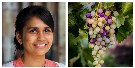 Centre for Landscape Regeneration (@clr_cambridge) on Twitter photo Great to see one of our team, Rekha Bhangaonkar from highlighted through the new installation at the <a href="/CUBotanicGarden/">Cam Botanic Garden</a>:
‘Amazing people, enquiring minds’
This showcases researchers at Cambridge who use plants in a hugely diverse range of projects.
botanic.cam.ac.uk/research-scien… Great to see one of our team, Rekha Bhangaonkar from highlighted through the new installation at the <a href="/CUBotanicGarden/">Cam Botanic Garden</a>:
‘Amazing people, enquiring minds’
This showcases researchers at Cambridge who use plants in a hugely diverse range of projects.
botanic.cam.ac.uk/research-scien…