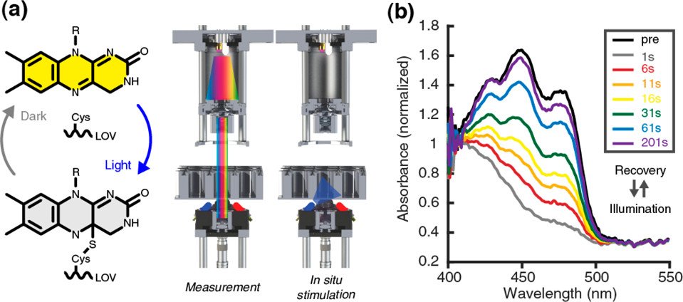 MWNautilus's tweet image. #OSP: An #OpenSource microplate reader:

-full spectrum #absorbance &amp;amp; #fluorescence emission
-in situ #optogenetic stimulation
-touch screen programming of #automated assays
-#Python API

doi.org/10.1021/acs.bi…
#DIYbio #lab #instruments #PlateReader