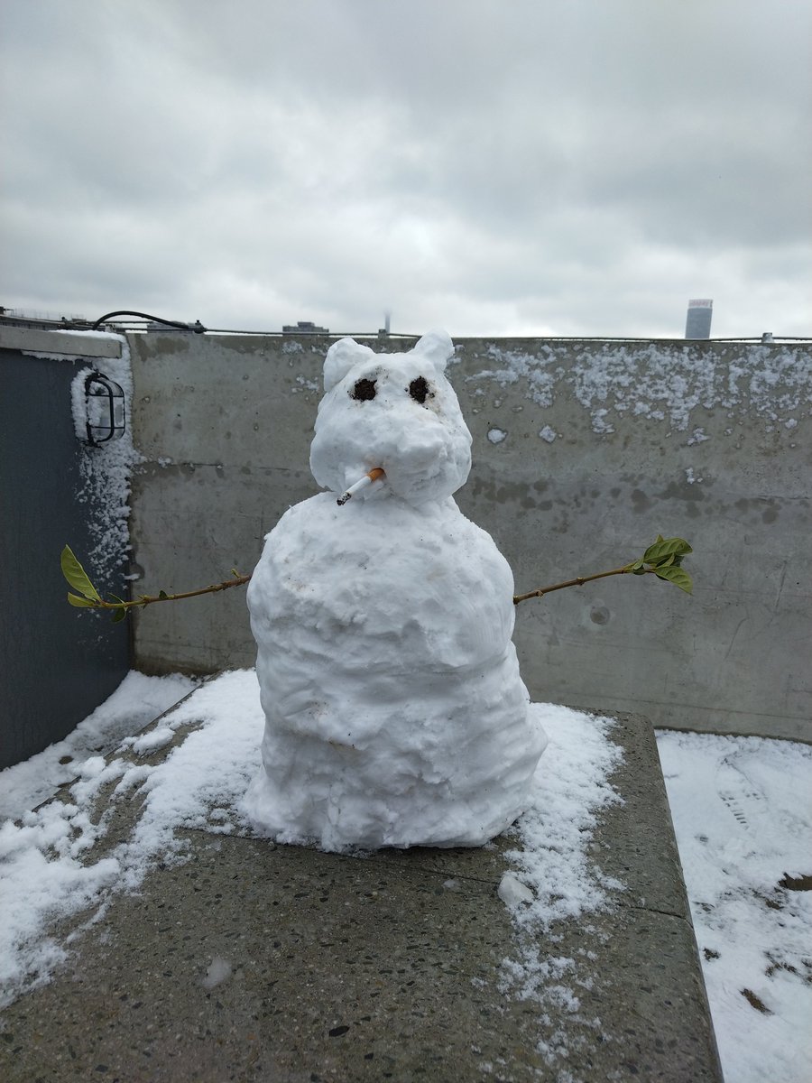 Johannesburg has the coolest Monday in South Africa, literally #snow ❄️🥶🌨️