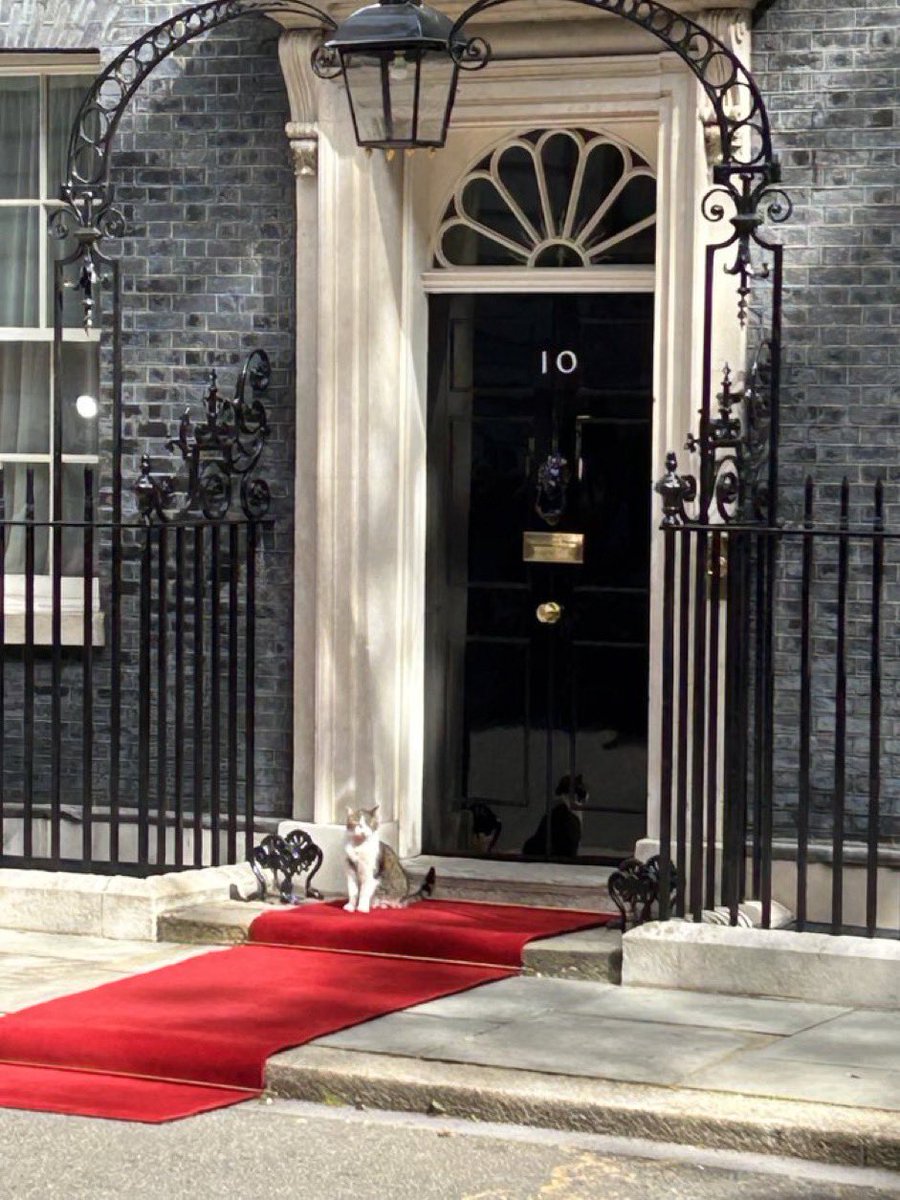 Number10cat's tweet photo. I made sure President Biden was greeted properly
(Photo @PoliticalPics) https://t.co/aIBthy8PX8