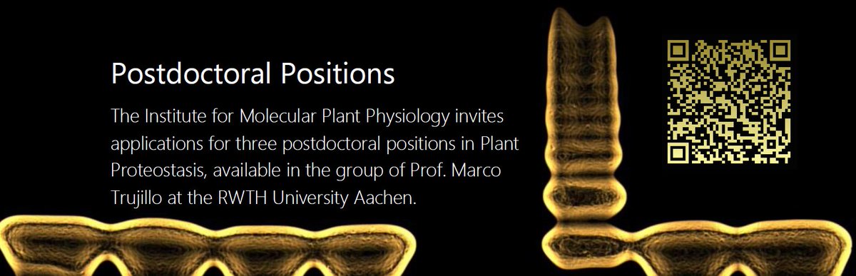 Marco Trujillo (@trujillolab) on Twitter photo We are growing! 🔥👋
Looking for three #Postdoc #ECRs to join our team at the <a href="/RWTH/">RWTH Aachen</a> to work on different aspects of #proteostasis #tpd #signalling #ubiquitin
📢pls RT
trujillolab.com/positions/ We are growing! 🔥👋
Looking for three #Postdoc #ECRs to join our team at the <a href="/RWTH/">RWTH Aachen</a> to work on different aspects of #proteostasis #tpd #signalling #ubiquitin
📢pls RT
trujillolab.com/positions/