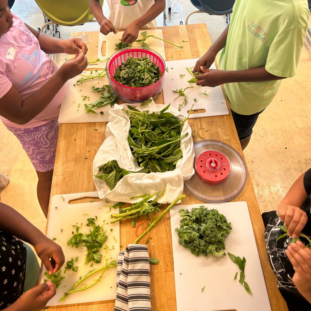 FoodPrintsDC's tweet photo. Summer with FoodPrints ☀️ 🌻 🍉 

We are part of the DCPS Summer Academy at 4 schools!

We prepared and ate:
🌱 Seasonal Green Pesto
🌱 Pico de Gallo
🌱 Roasted Beet Hummus

Stay tuned for the next 4 weeks of fresh, delicious creations and learning! https://t.co/bFYNldZNRR
