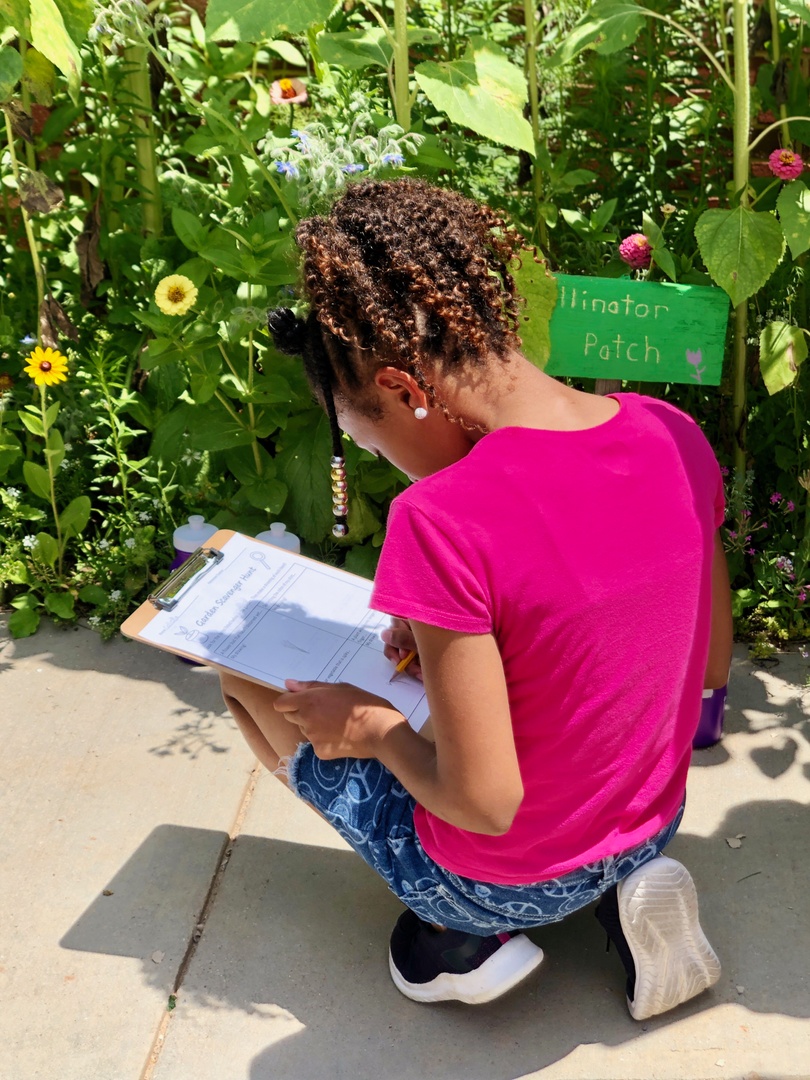 Summer with FoodPrints ☀️ 🌻 🍉 We are part of the DCPS Summer Academy at 4 schools! We prepared and ate: 🌱 Seasonal Green Pesto 🌱 Pico de Gallo 🌱 Roasted Beet Hummus Stay tuned for the next 4 weeks of fresh, delicious creations and learning!