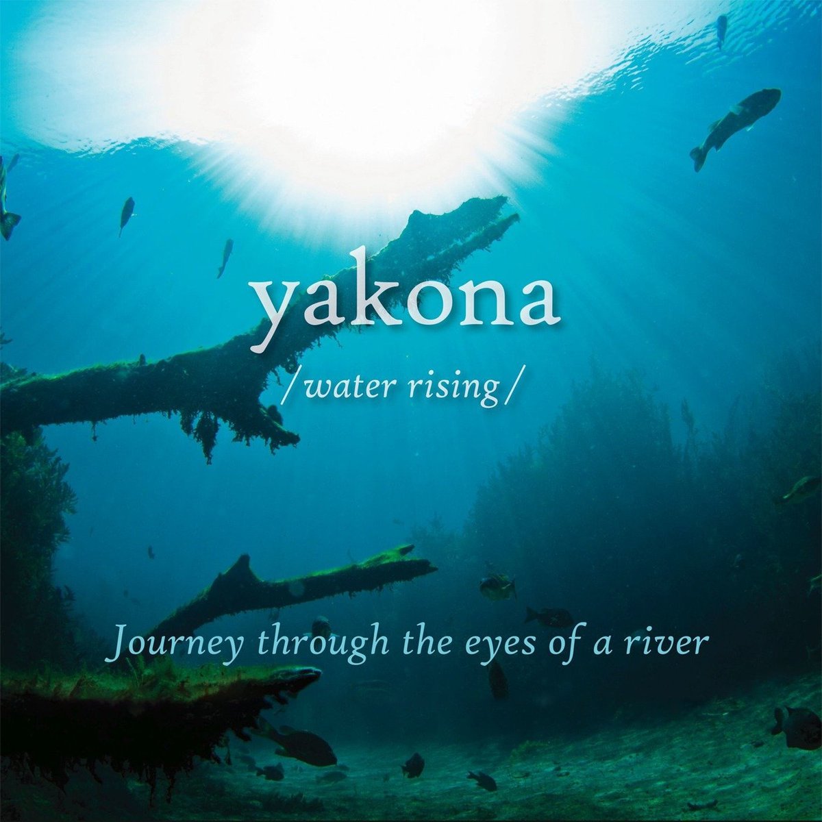 MontopolisMusic's tweet photo. Special screening this Tuesday, July 11th, of the stunning visual documentary of the San Marcos river, Yakona! Musical score by composer Justin Sherburn. At the Price Center in San Marcos, movie starts at 7pm.
#firsttuesdaysmtxfilmseries #yakona #sanmarcos https://t.co/RlJs9A73G0