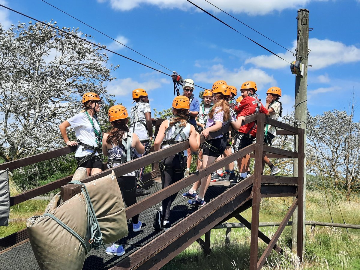 Maltese Road Primary tweet media