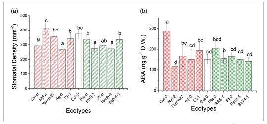 PlantCellEnvir's tweet photo. This study on Arabidopsis thaliana reveals surprising correlations: larger plants exhibit better water use efficiency. Understanding plant transpiration is crucial for sustainable water management.

Read more here ⤵️🌱
https://t.co/w1jcxEKCNO @wileyplantsci #OpenAccess https://t.co/2IN2WPzGmF