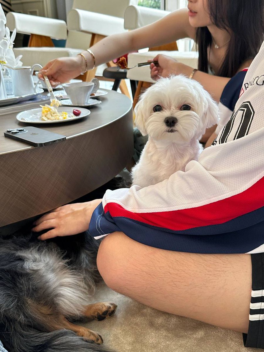 dewye_jelek's tweet image. I went outside to eat bread with my friends and children🤗 #EatBread #Outside