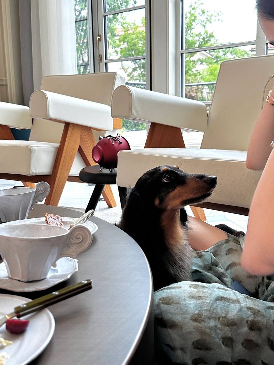 dewye_jelek's tweet image. I went outside to eat bread with my friends and children🤗 #EatBread #Outside