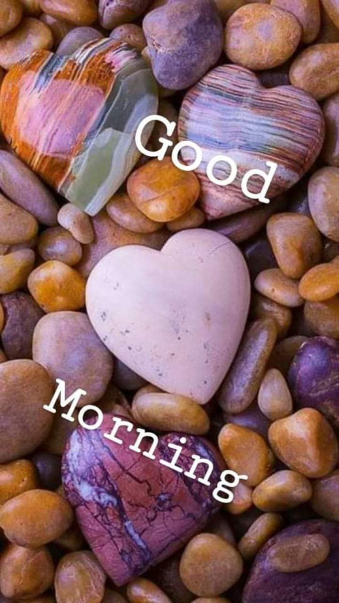 marcobonilla553's tweet photo. Good Morning And Sweet Hearts ❤️💜 https://t.co/0C1fawNuwf