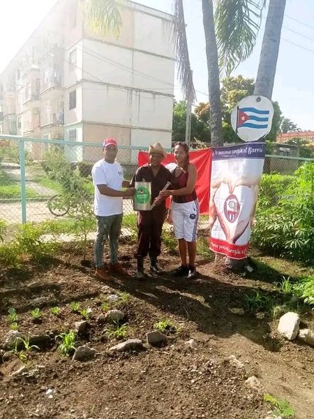 🌱Melquiades es  coordinador de zona en el CP Caribe, mpio #Guantánamo. Este cederista junto a los vecinos de la comunidad tienen un pequeño huerto que brinda sus frutos al Comedor Comunitario, la Casa de Niños sin Amparo Familiar y población en general. 
🧵👇