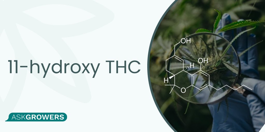 askgrowers tweet media