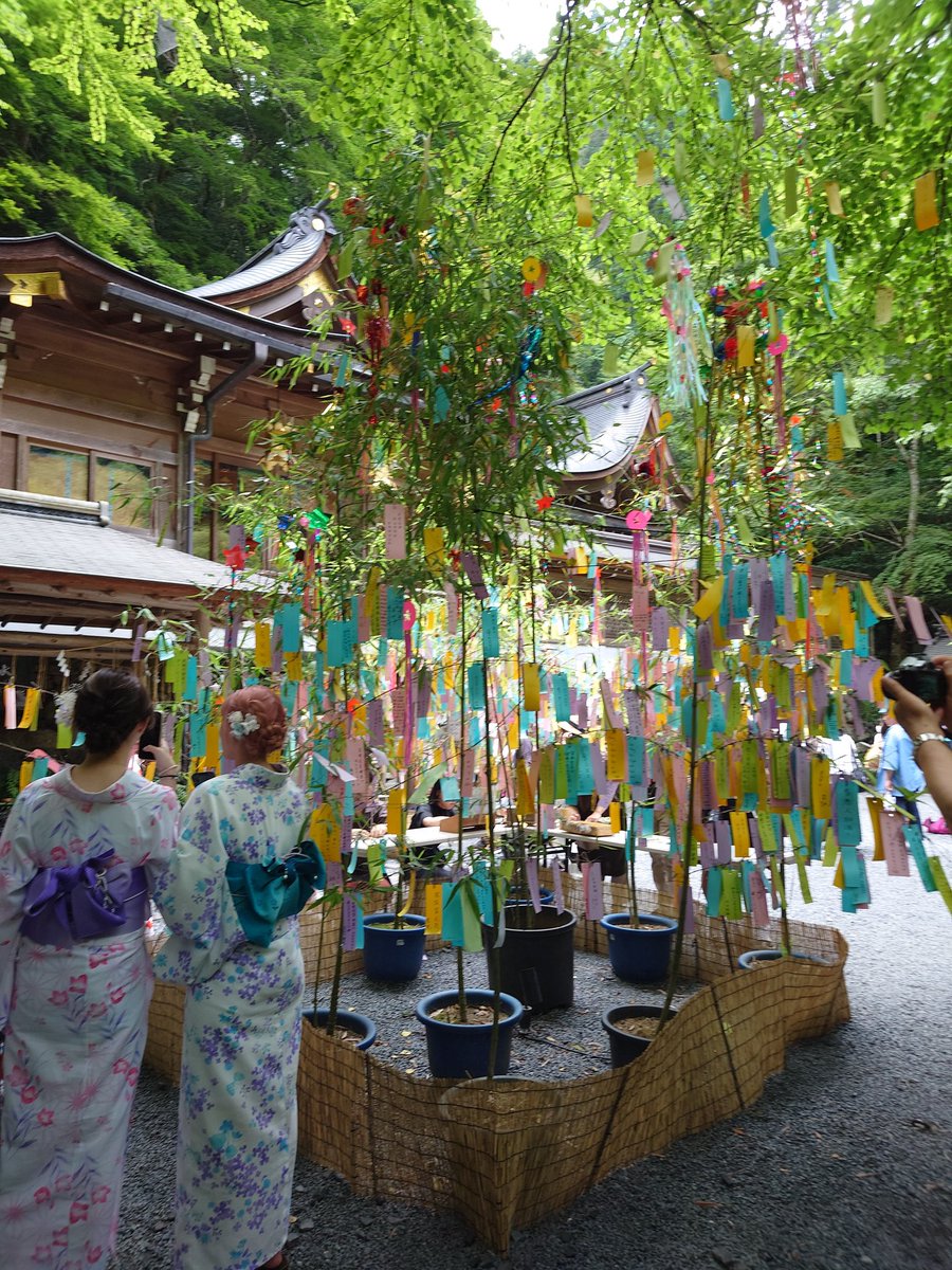 til_mitiru's tweet photo. ７月7日一年に一度の織姫と彦星が会える日！七夕
短冊のみんなの願いが叶いますように☆ https://t.co/WuIHZYltyJ