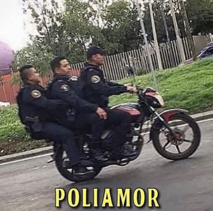 Dann Fibo tweet media