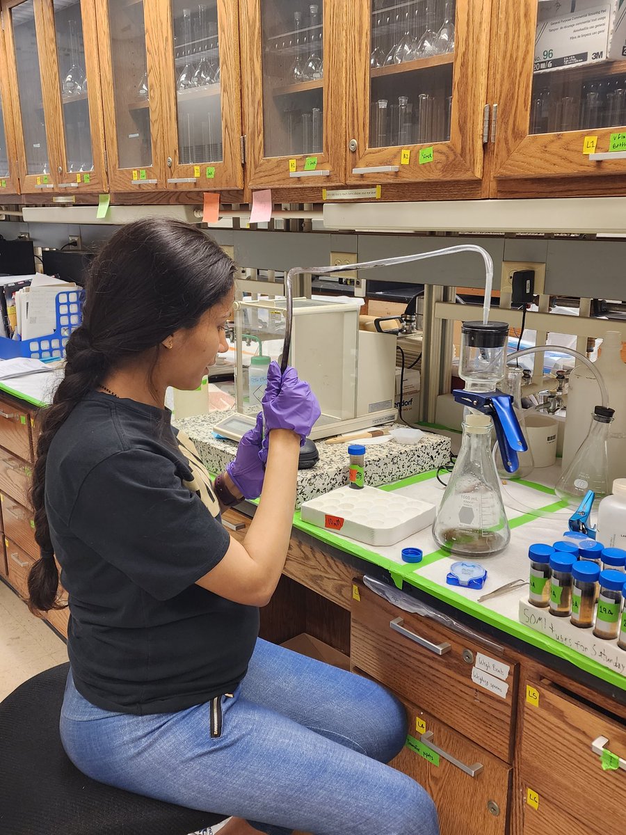 Soil Carbon fractionation on Soil from a 47 year Longterm Tillage Study. Ph.D. Candidate Asmita Gautam.
<a href="/AgScienceGuy/">Corey Lacey</a> <a href="/PurdueAgronomy/">Purdue Agronomy</a> <a href="/CCSI_IN/">CCSI</a> <a href="/carbon_asmi/">Asmita Gautam</a> <a href="/CoverCropCoach/">Steve Groff</a> <a href="/INCornFarmers/">Indiana Corn</a> <a href="/GOSEEDCO/">GO Seed</a> <a href="/IndianaNRCS/">NRCS Indiana</a>