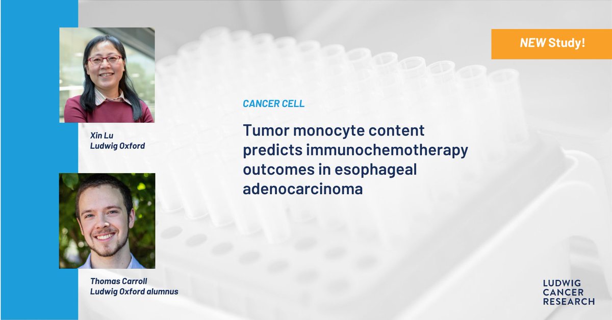 Ludwig Cancer (@ludwig_cancer) on Twitter photo A study led by Ludwig <a href="/UniofOxford/">University of Oxford</a>'s Xin Lu & Thomas Carroll finds a relatively large number of monocytes in tumors & high mutational burden in cancer cells are together associated with better immunochemotherapy outcomes for esophageal adenocarcinoma. bit.ly/44uqO0c A study led by Ludwig <a href="/UniofOxford/">University of Oxford</a>'s Xin Lu & Thomas Carroll finds a relatively large number of monocytes in tumors & high mutational burden in cancer cells are together associated with better immunochemotherapy outcomes for esophageal adenocarcinoma. bit.ly/44uqO0c