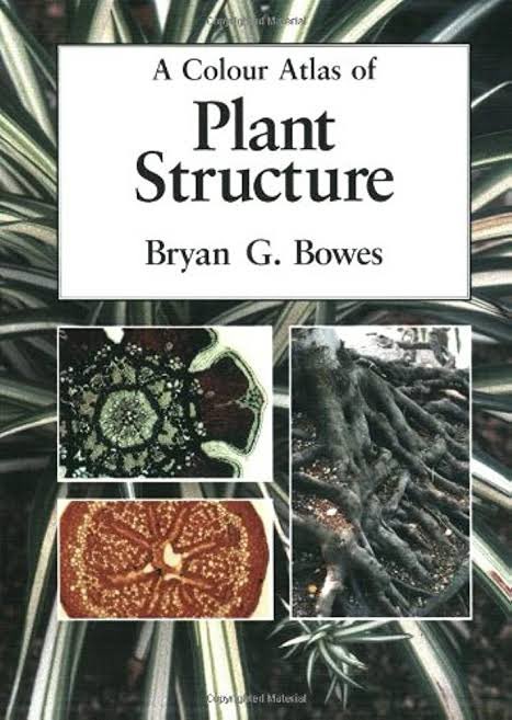 mareidaily's tweet photo. ★ ANFISTUM (Anatomi Fisiologi Tumbuhan)
1. Biology of Plants - Raven
2. A Color Atlas of Plant Structure - Bryan G. Bowes
3. Plant Physiology - Taiz
4. Campbell edisi 8 Jilid 2

note : semua penting bgt inii cmn campbell duluan ya yang dibaca https://t.co/KfWVk3oSS1