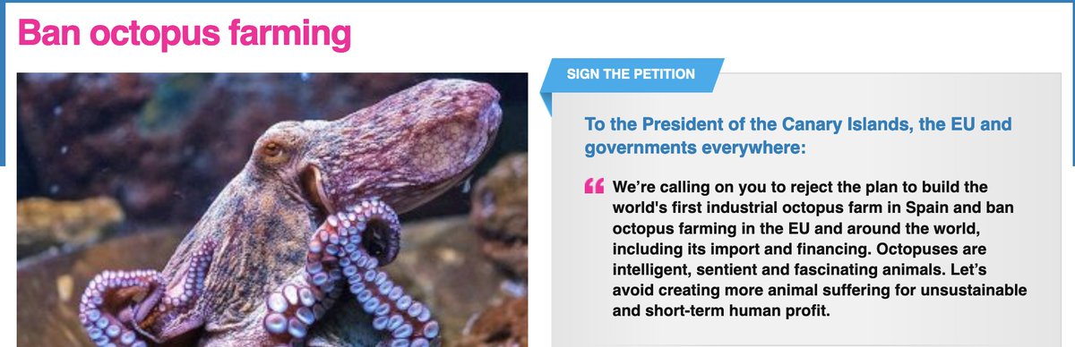 zoophilosophy's tweet photo. This petition has reached almost 1,000,000 signatures - please sign and share if (like me) you believe that octopus farming should be banned
https://t.co/5FrDVQgbZ2 https://t.co/rC9mXC5xCz