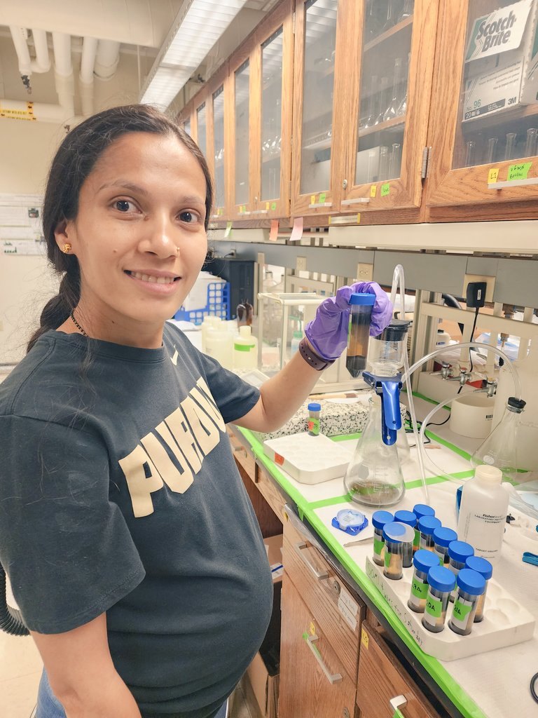 CoverCropDr's tweet photo. Soil Carbon fractionation on Soil from a 47 year Longterm Tillage Study. Ph.D. Candidate Asmita Gautam.
@AgScienceGuy @PurdueAgronomy @CCSI_IN @carbon_asmi @CoverCropCoach @INCornFarmers @GOSEEDCO @IndianaNRCS https://t.co/6OGITVtbR1