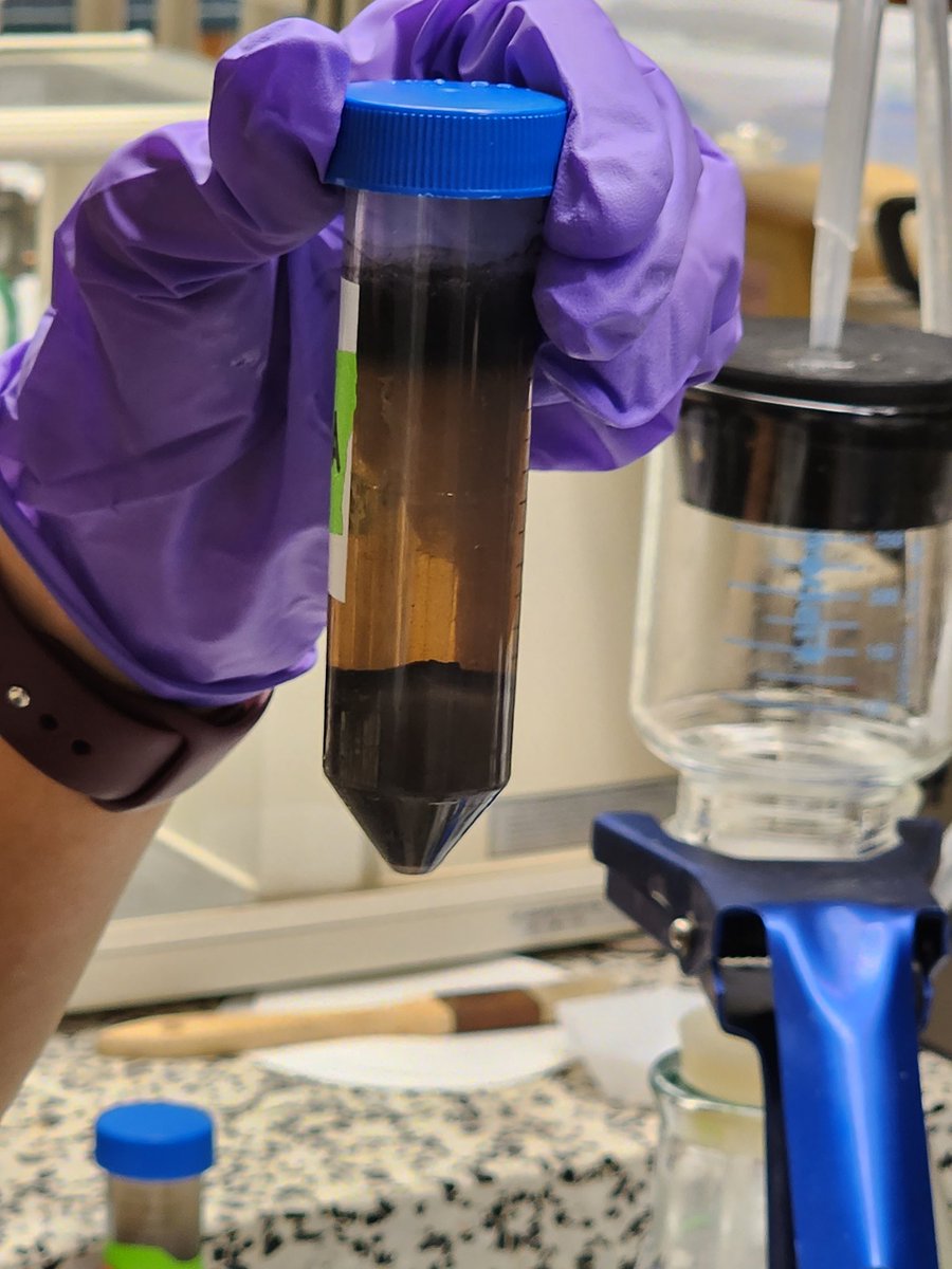 CoverCropDr's tweet photo. Soil Carbon fractionation on Soil from a 47 year Longterm Tillage Study. Ph.D. Candidate Asmita Gautam.
@AgScienceGuy @PurdueAgronomy @CCSI_IN @carbon_asmi @CoverCropCoach @INCornFarmers @GOSEEDCO @IndianaNRCS https://t.co/6OGITVtbR1