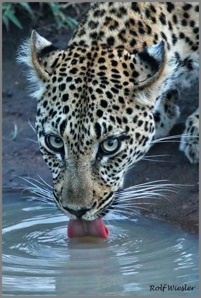 abunasser (@sorkarmoni) on Twitter photo 