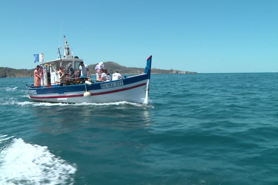 F3Occitanie's tweet photo. VIDEO. Les plongeurs du Club Sub Aquatique Toulousain prennent le large, cap sur Banyuls https://t.co/Tp7PRrl0wm https://t.co/nei8f6jDq6