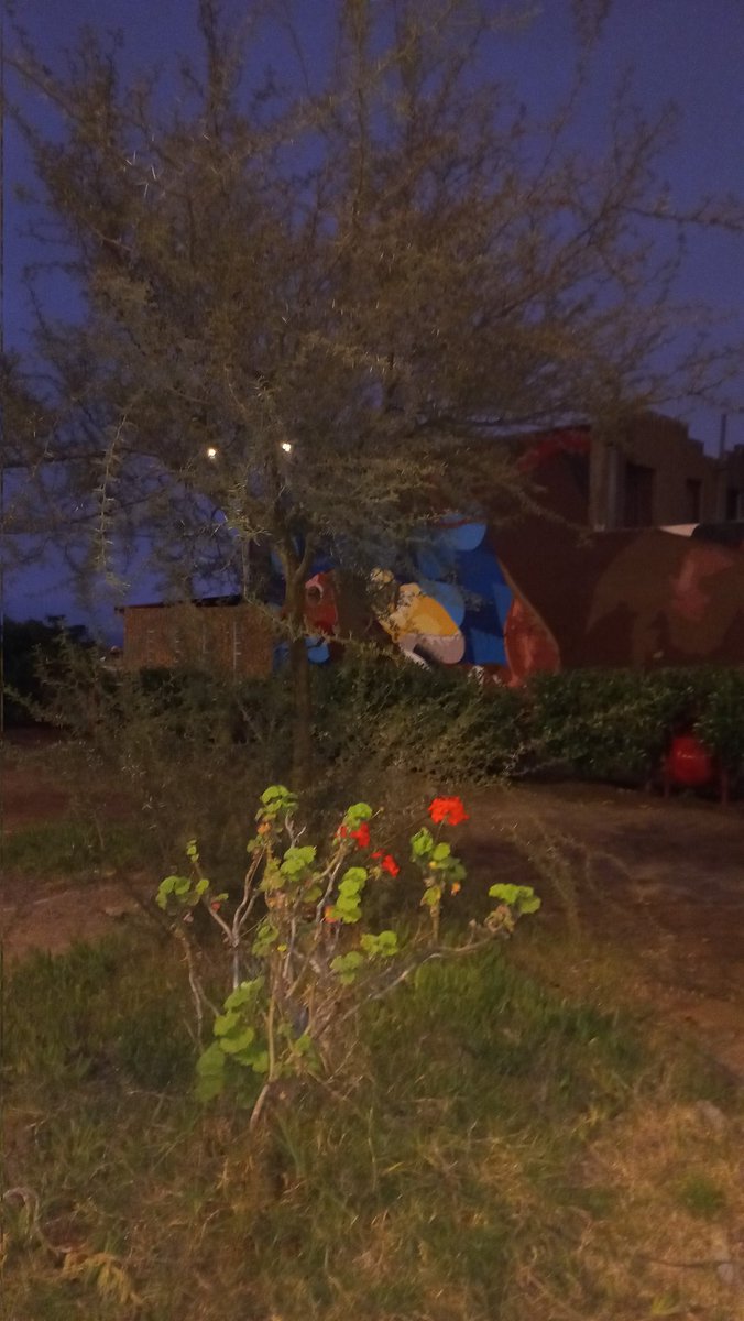 j_vecinos's tweet photo. Estimados llevamos 3 años solicitando mejorar la iluminación de nuestra Plaza del Agua, pero las autoridades de esta ciudad, están más preocupados de pelear entre ellos y no preocuparse de la seguridad de su gente. Hasta cuando Sres. Más seguridad https://t.co/1lmVavcmcw